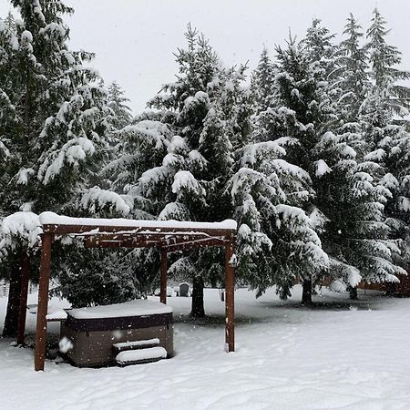Bear'S Den Hideaway With Hot Tub Villa Ashford Dış mekan fotoğraf