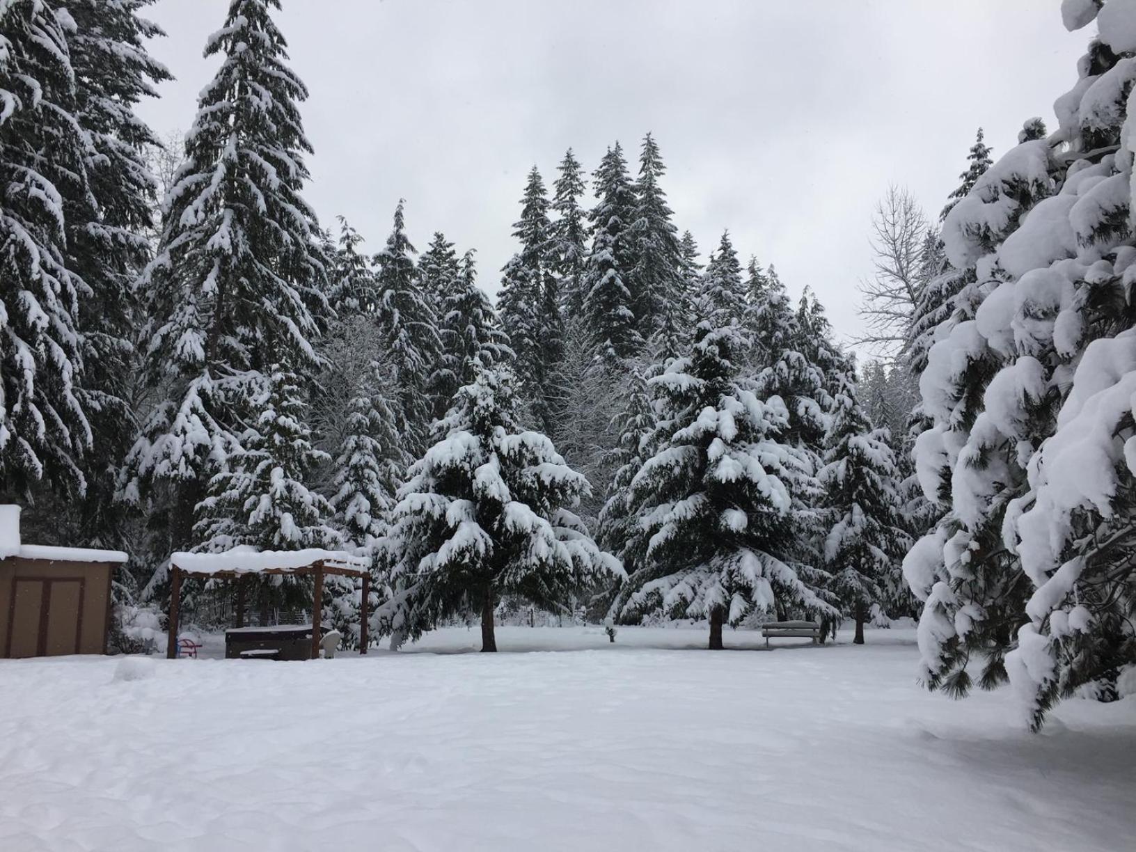 Bear'S Den Hideaway With Hot Tub Villa Ashford Dış mekan fotoğraf