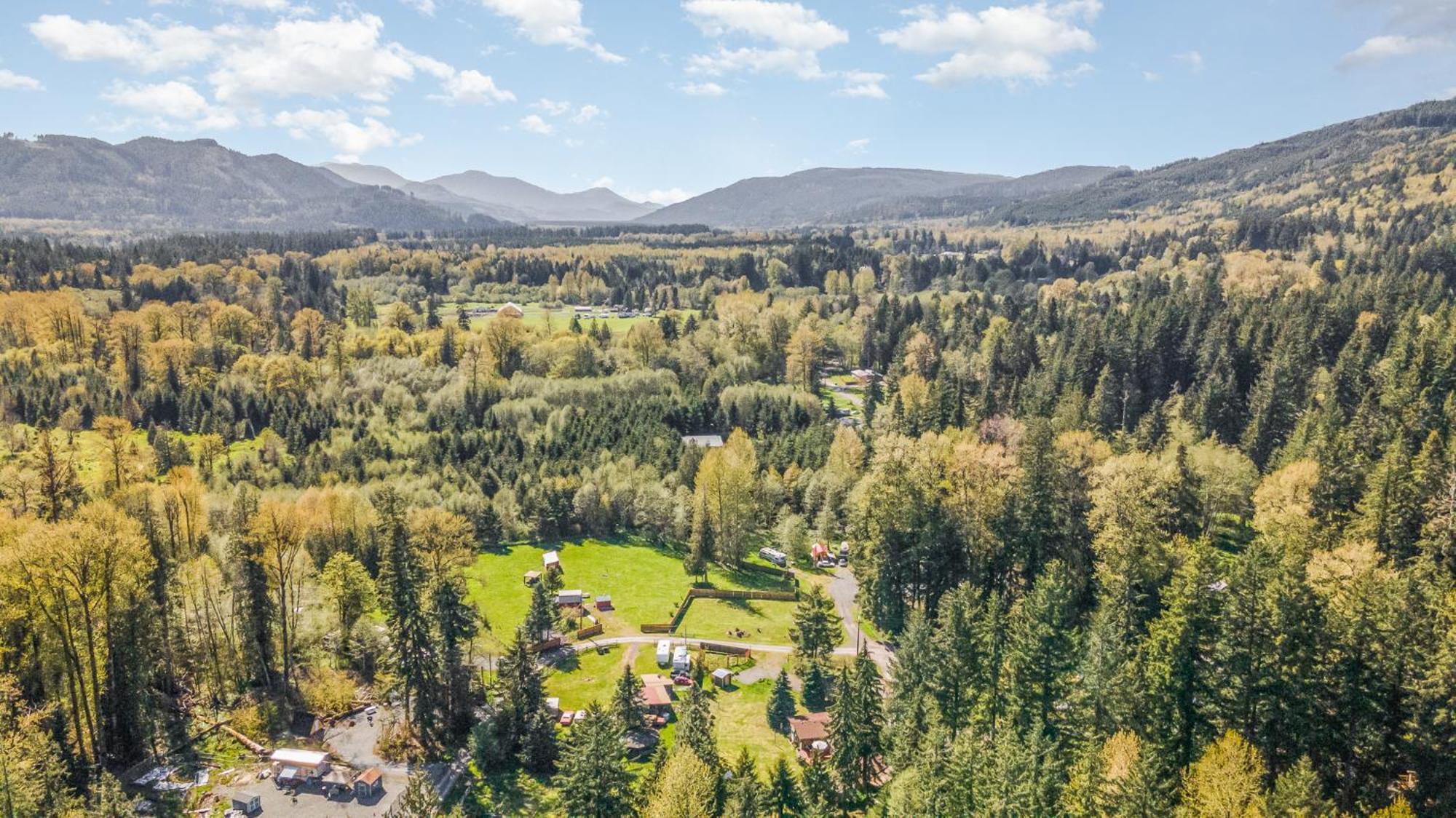 Bear'S Den Hideaway With Hot Tub Villa Ashford Dış mekan fotoğraf